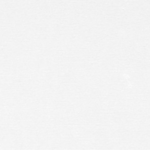 white-5025