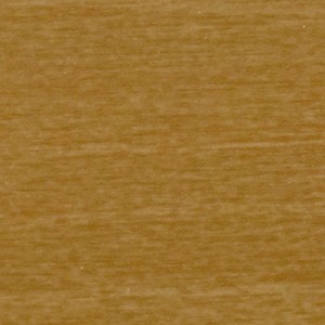 maple-011