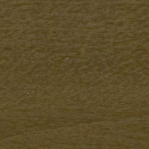 american-walnut-015