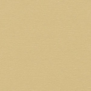 bleached-white-5209